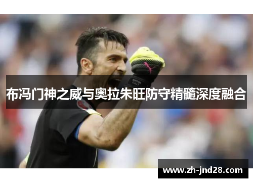 布冯门神之威与奥拉朱旺防守精髓深度融合