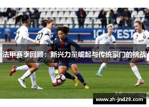 法甲赛季回顾：新兴力量崛起与传统豪门的挑战