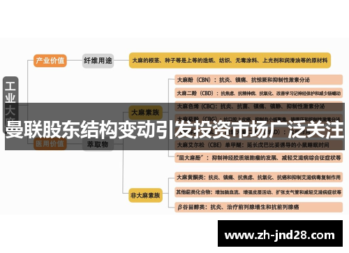 曼联股东结构变动引发投资市场广泛关注